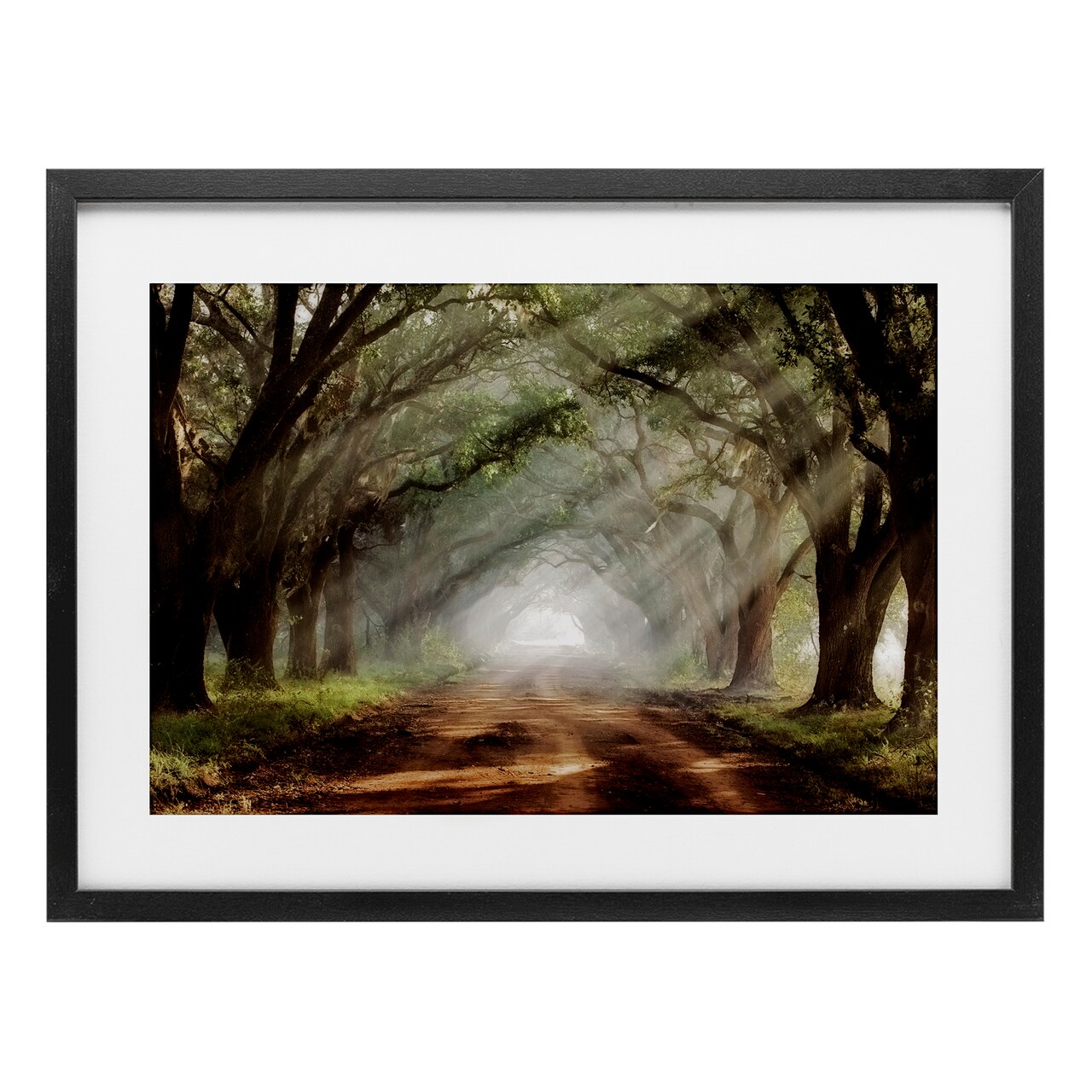 Stupell Industries Sunlit Evergreen Grove Framed Print Under Glass, design by Mike Jones